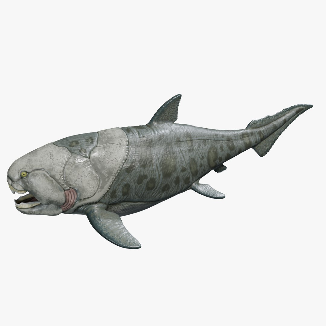 3D Dunkleosteus https://p.turbosquid.com/ts-thumb/Wn/7he2v9/xo/search/png/1757561578/1920x1080/fit_q87/6afb4f8a95cd1bd396169e564bc2d82d21c99f3c/search.jpg