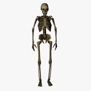 Human Skeleton Lowpoly