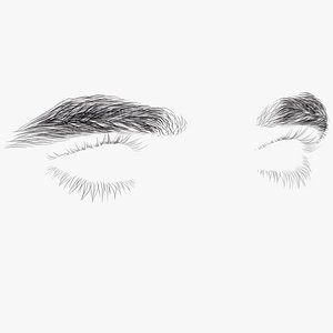 Mans Eyebrows and Eyelashes