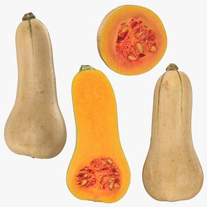 Butternut Pumpkin Collection