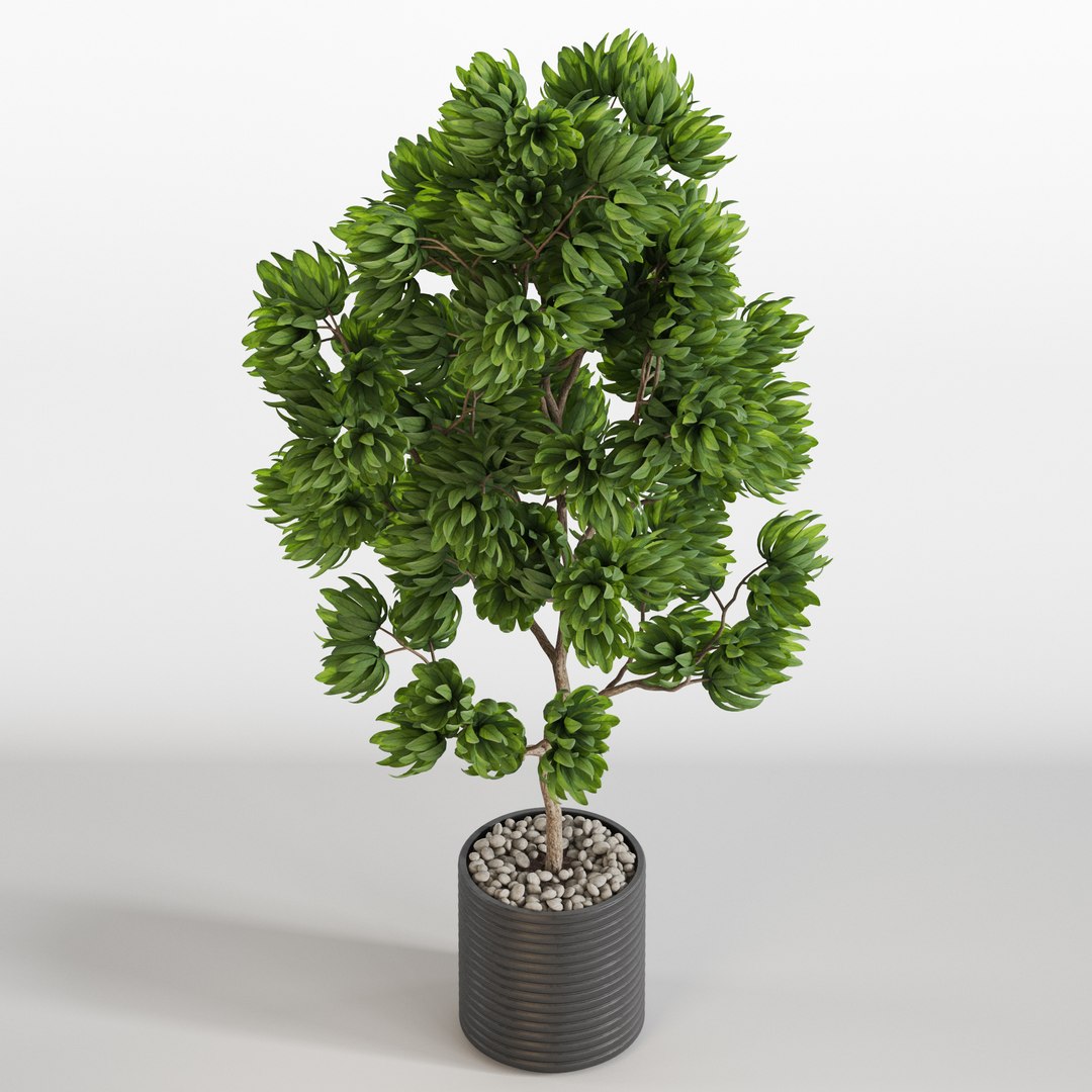 3D Plants collection 752 model https://p.turbosquid.com/ts-thumb/Wn/F5QDvV/8G/plant_752_03.rgb_colorcopy/jpg/1660228155/1920x1080/fit_q87/271d378007499e4bae1e2ab063150ce457ffa03f/plant_752_03.rgb_colorcopy.jpg