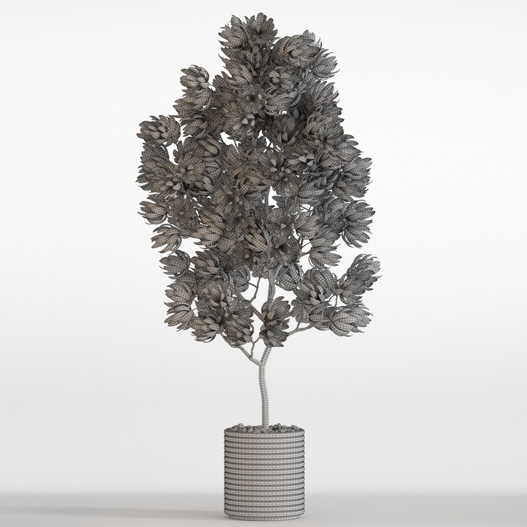 3D Plants collection 752 model https://p.turbosquid.com/ts-thumb/Wn/F5QDvV/f5/plant_752_04.rgb_colorcopy/jpg/1660228155/1920x1080/fit_q87/cb4d154d741875ab931c98b9572be68a8efcfc8d/plant_752_04.rgb_colorcopy.jpg