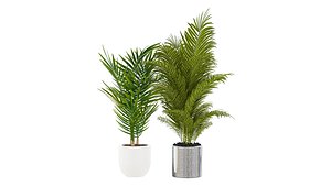 3D Plants 030