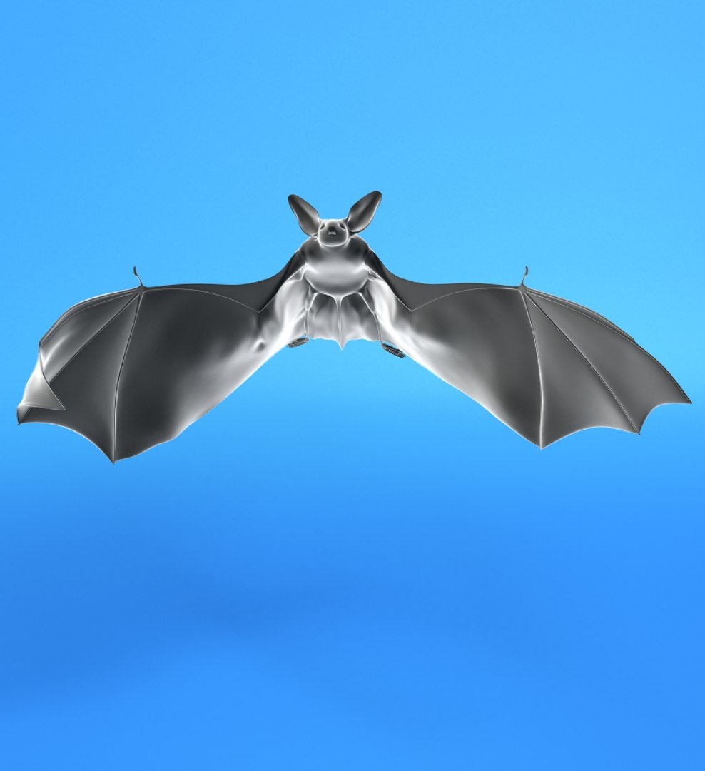 flittermouse bat 3d model