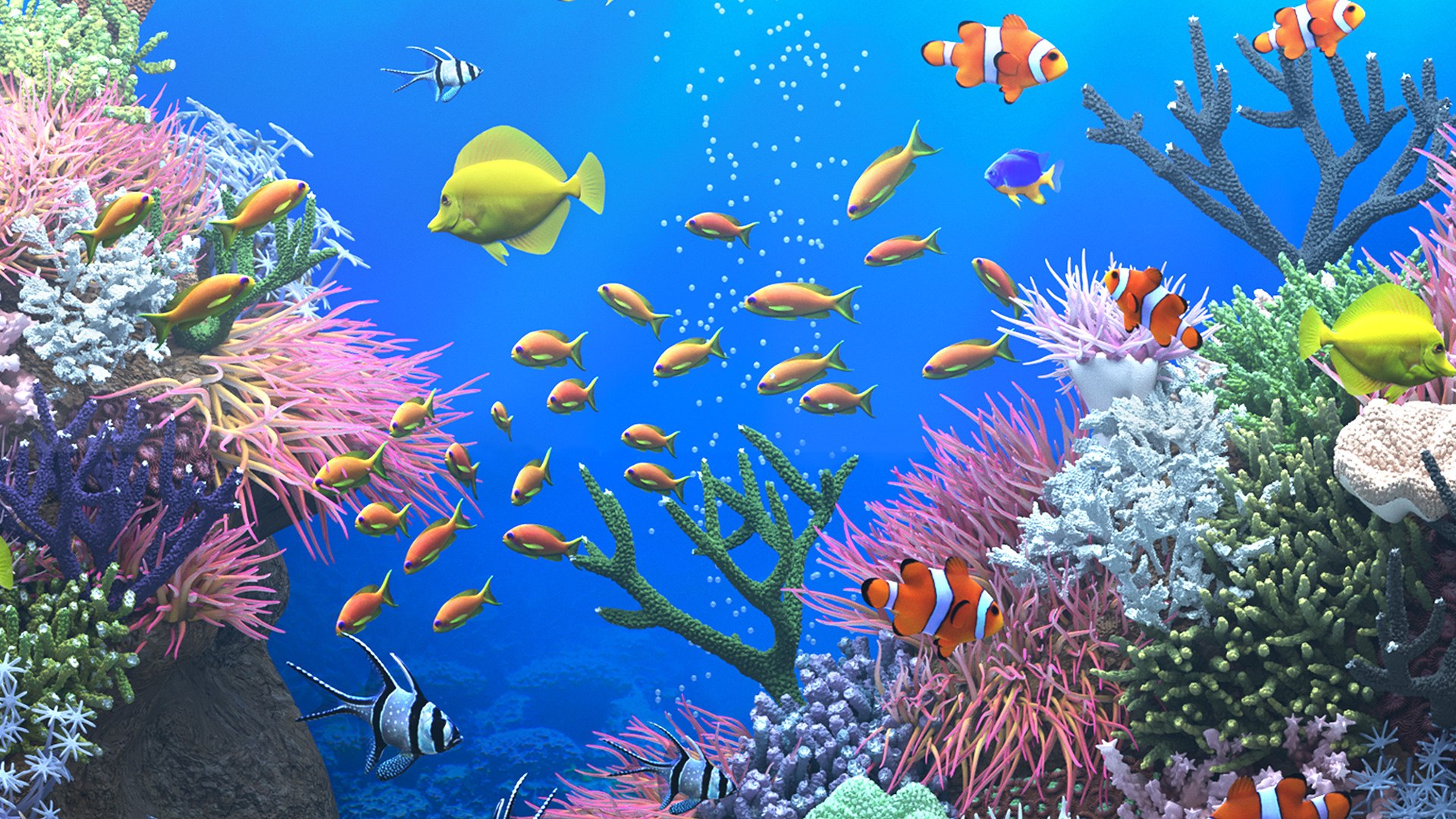 3D Saltwater Aquarium - TurboSquid 1710419