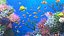 Marine aquarium