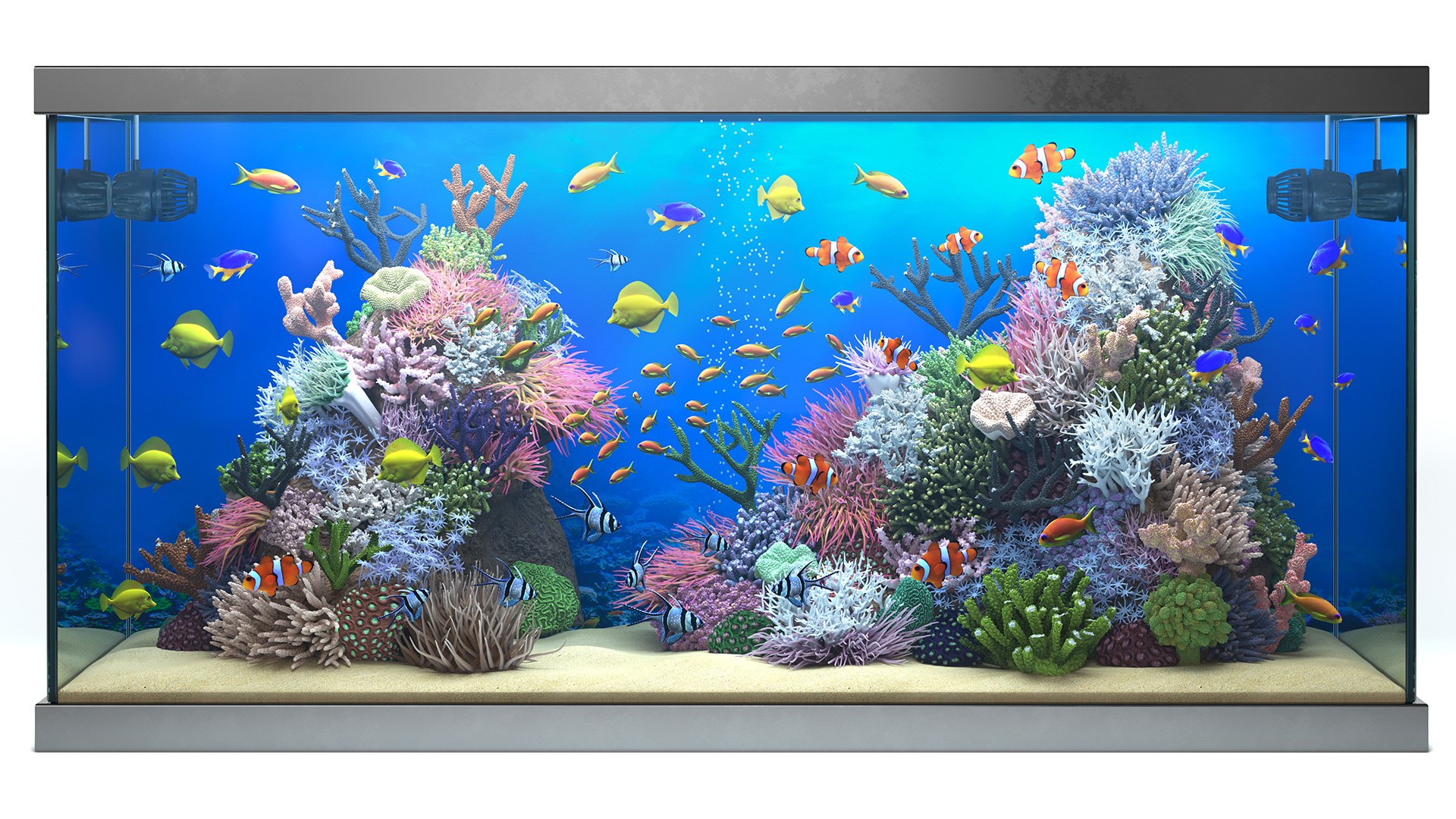 3D Saltwater Aquarium - TurboSquid 1710419