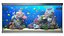 Marine aquarium