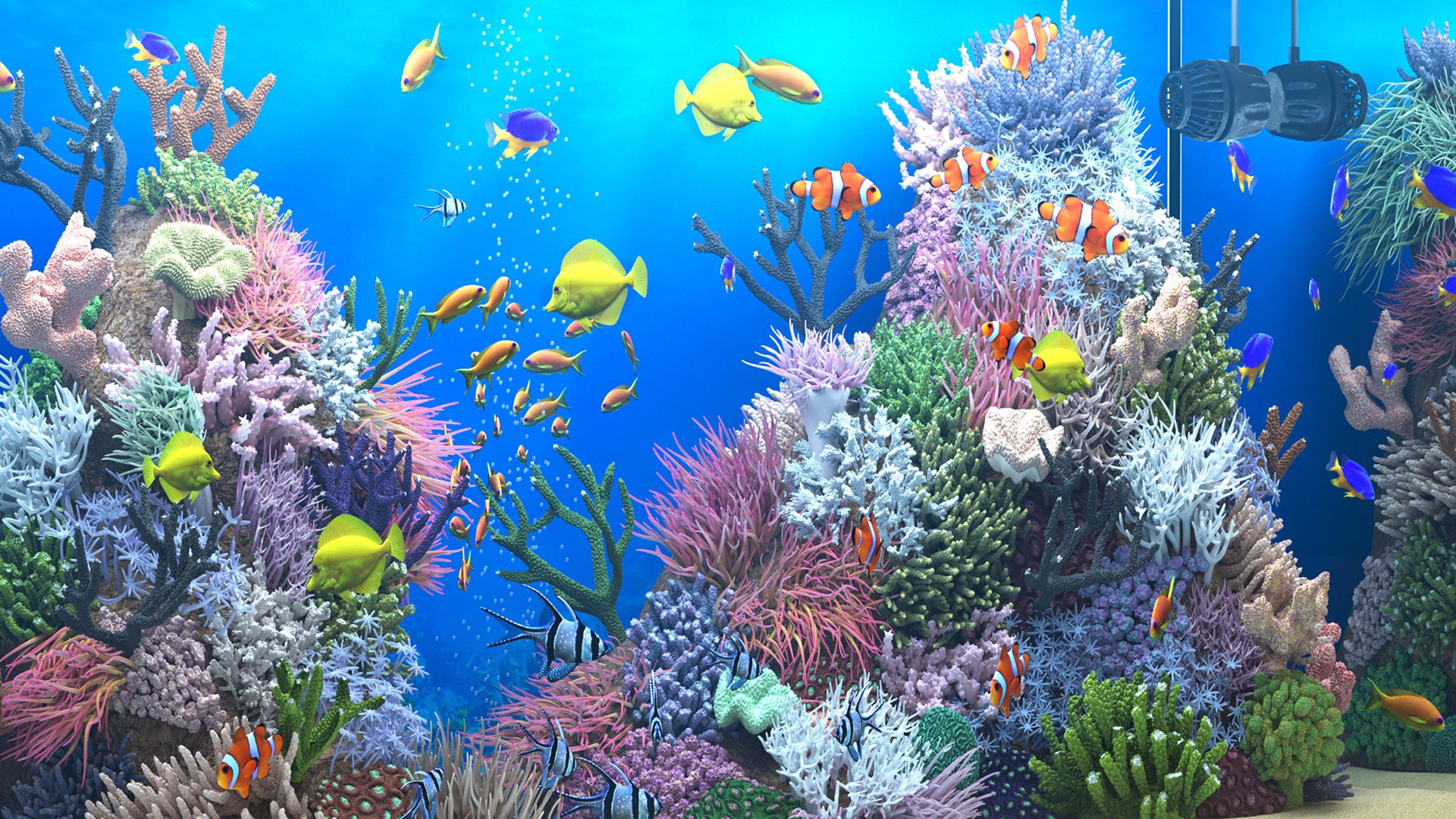 3D Saltwater Aquarium - TurboSquid 1710419