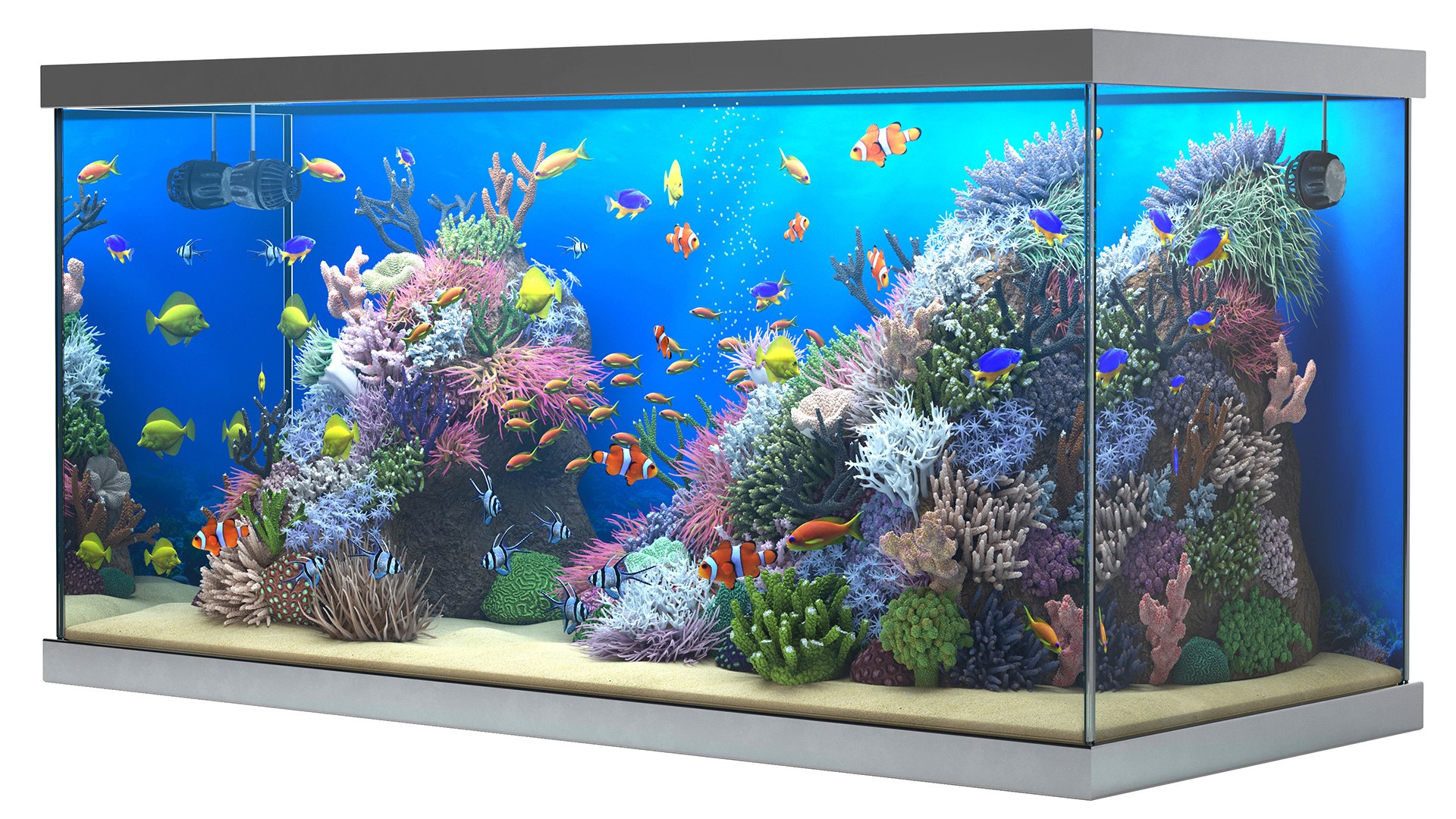 3D saltwater aquarium https://p.turbosquid.com/ts-thumb/Wn/TH3CSY/rm/render_15/jpg/1616667065/1920x1080/fit_q87/d19eaa2fbcd32824c567eca0e7ce7d021ce94afb/render_15.jpg