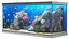 Marine aquarium