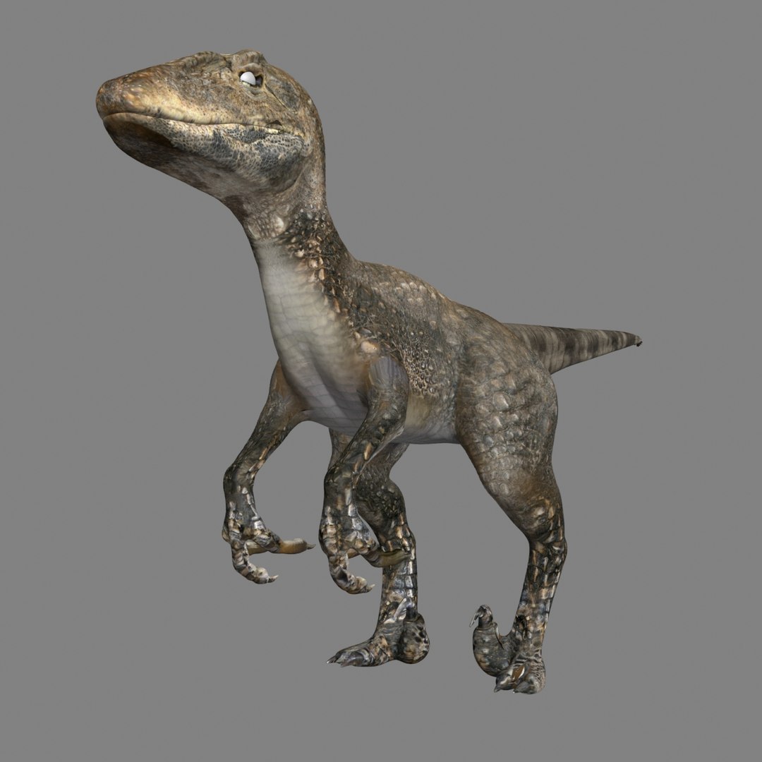 Velociraptor Raptor Max