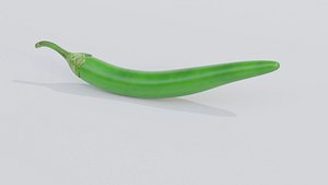 Green Pepper 3D model