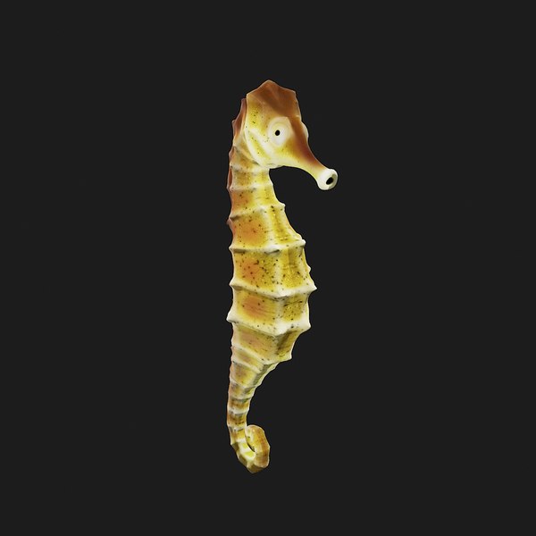 3d model sea horse