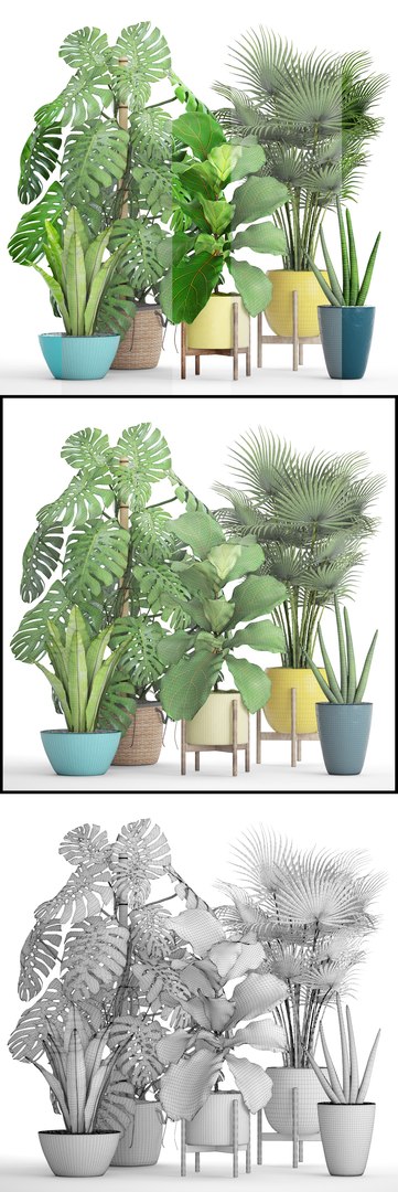 3D palm plants https://p.turbosquid.com/ts-thumb/Wn/iqrJTY/6BvL2FCO/setplantbiginpots10/jpg/1498646325/1920x1080/fit_q87/02f4685ed613f3af3bdcdf588b630a5a8bd2ca21/setplantbiginpots10.jpg