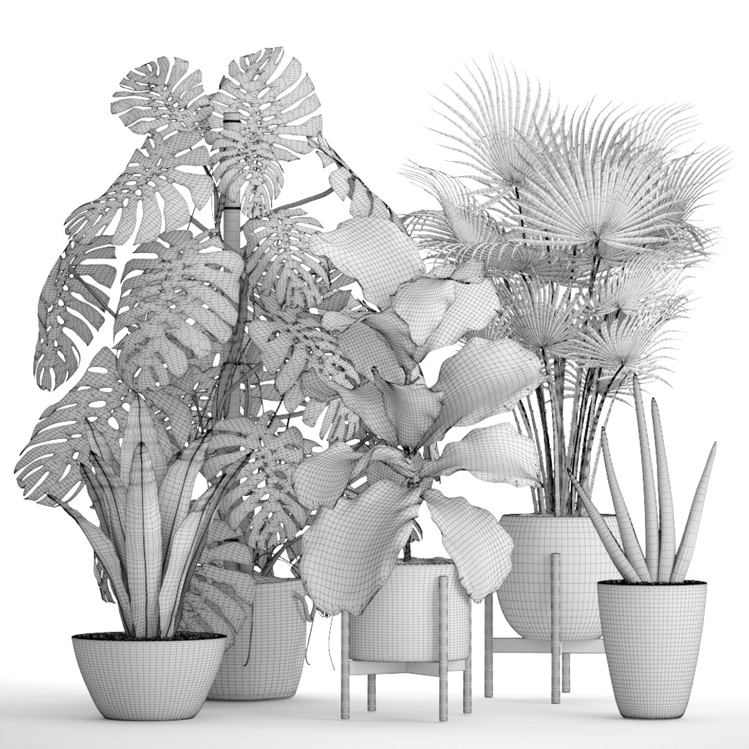 3D palm plants https://p.turbosquid.com/ts-thumb/Wn/iqrJTY/NqSzTbaY/setplantbiginpots09/jpg/1498646325/1920x1080/fit_q87/dafcf5750d492764733bea68ab720fc7b350509d/setplantbiginpots09.jpg