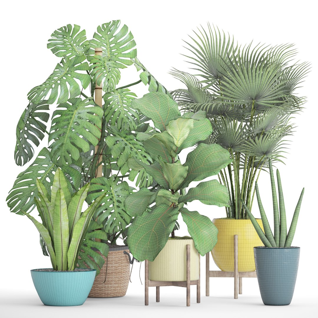 3D palm plants https://p.turbosquid.com/ts-thumb/Wn/iqrJTY/SAcTwHiV/setplantbiginpots08/jpg/1498646325/1920x1080/fit_q87/265d9645739521454c26f94c3ee0537e5d8b0e2b/setplantbiginpots08.jpg