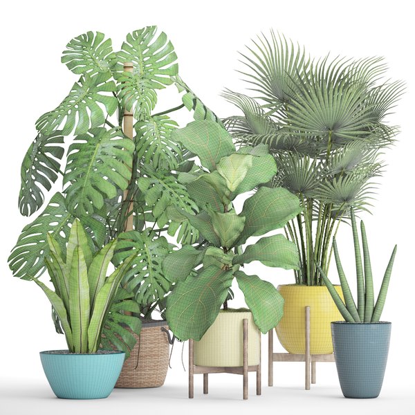 3D palm plants - TurboSquid 1172370