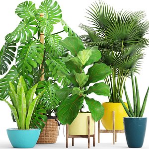 Collection plants(1)(1)