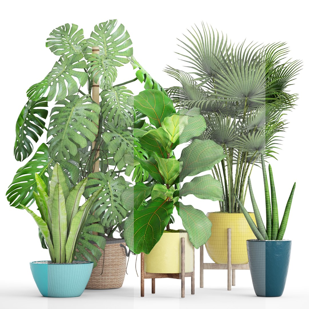 3D Palm Plants - TurboSquid 1172370