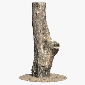 Pine Tree Trunk Scan 01 model