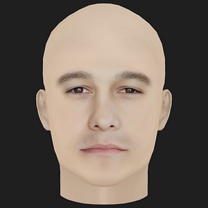 Low Poly Joseph Gordon-Levitt Head
