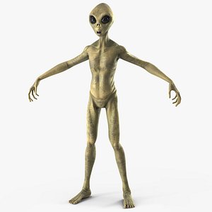 Humanoid Alien Creature Rigged