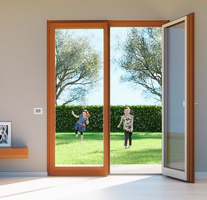 French Double Door - Double Door Window