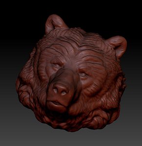 Bear head