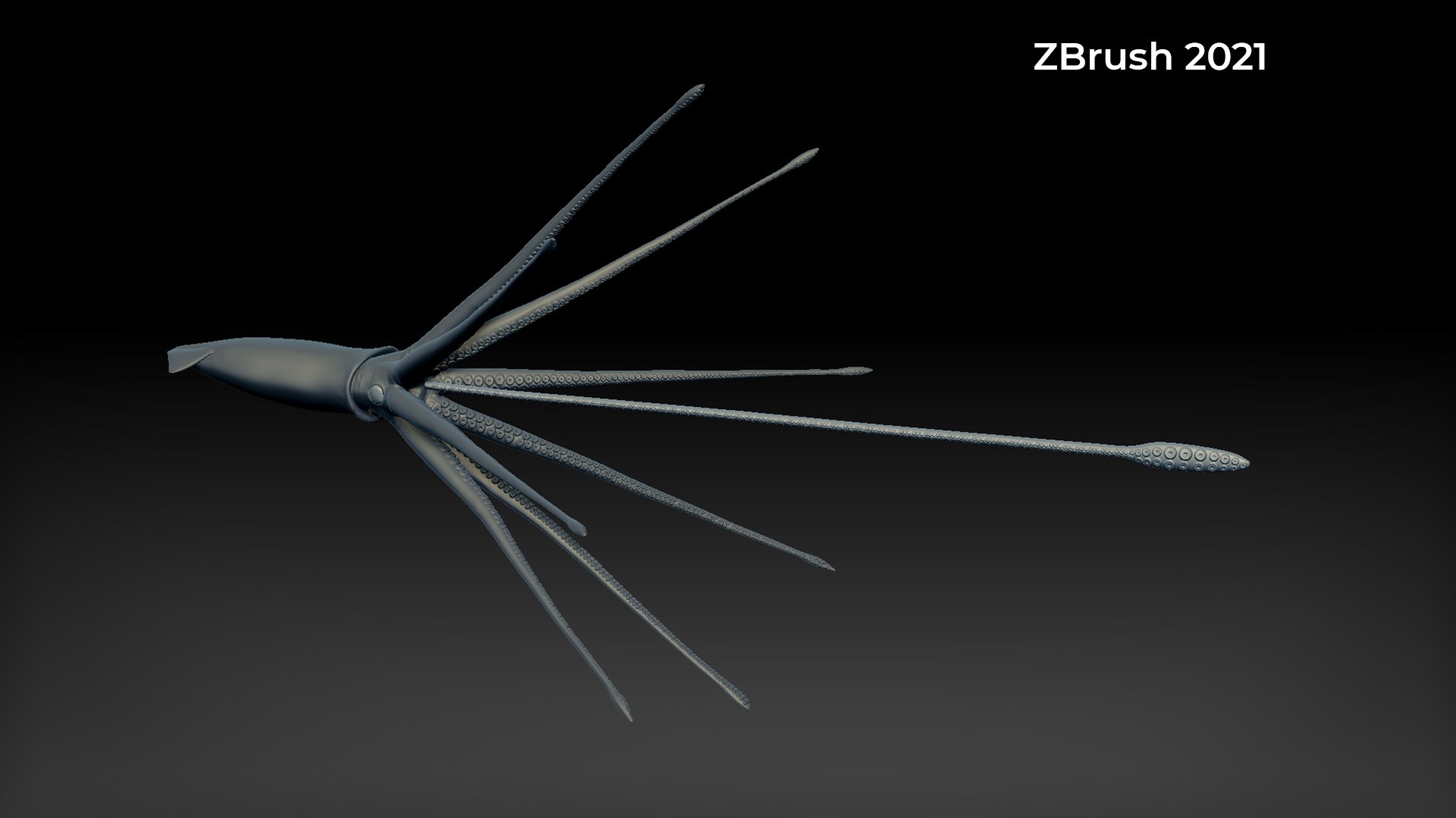 3D GiantSquidOBJ https://p.turbosquid.com/ts-thumb/Wo/5A62Fy/5Q/zbrush4/jpg/1633588259/1920x1080/fit_q87/ae688d5830e7d1c1800379bd16d80b7649a82be6/zbrush4.jpg