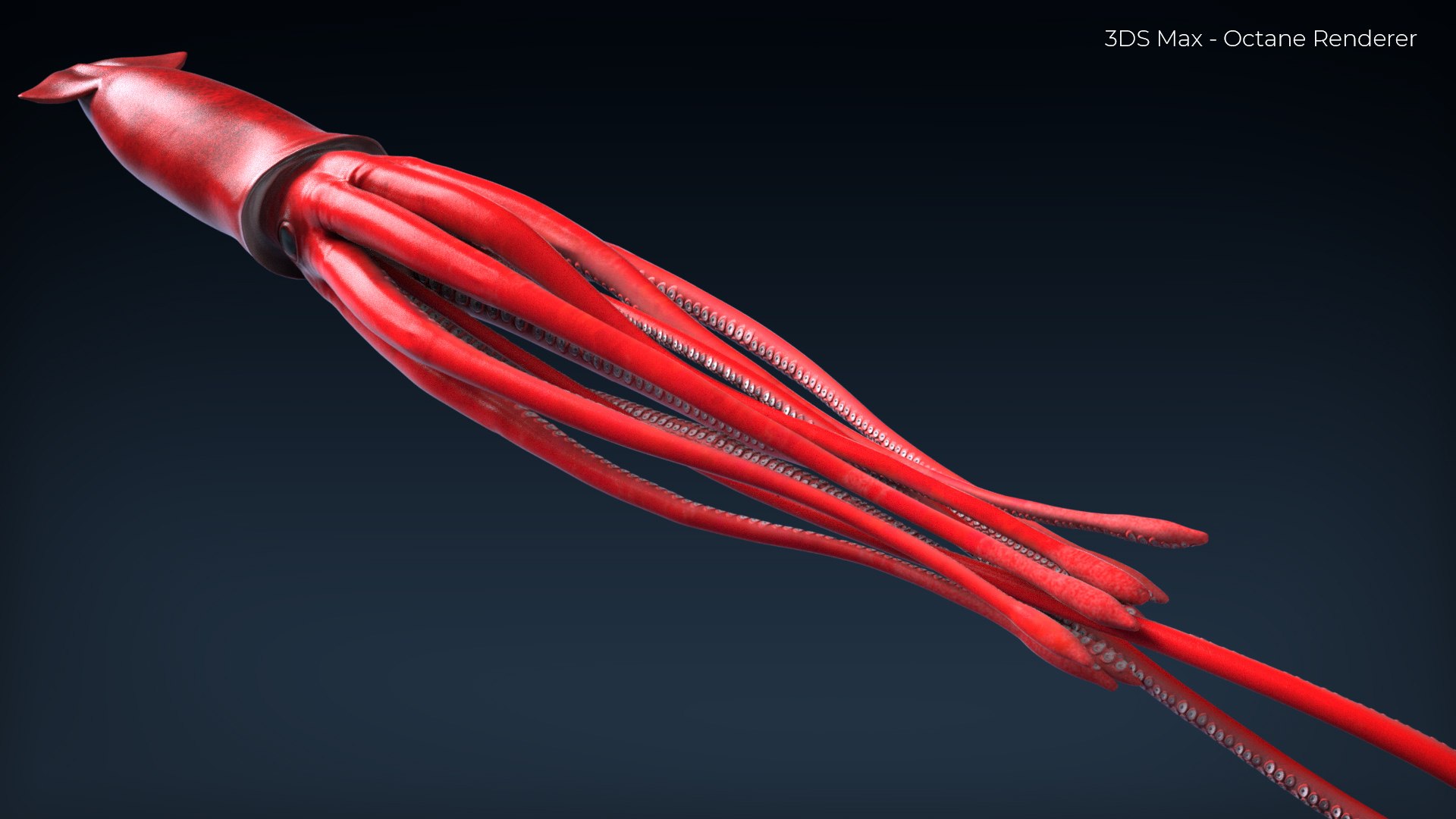 3D GiantSquidOBJ https://p.turbosquid.com/ts-thumb/Wo/5A62Fy/Jf/3/jpg/1633588216/1920x1080/fit_q87/4d1c95c800c0cce9167d81af16abccf0057fbaab/3.jpg