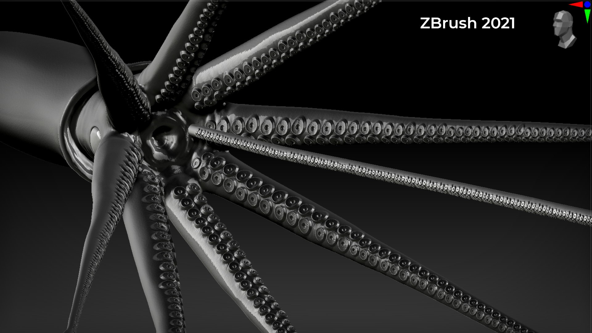 3D GiantSquidOBJ https://p.turbosquid.com/ts-thumb/Wo/5A62Fy/Ui/zbrush1/jpg/1633588262/1920x1080/fit_q87/69696ff37c524bc01fa3669eea2cb8836c557e60/zbrush1.jpg