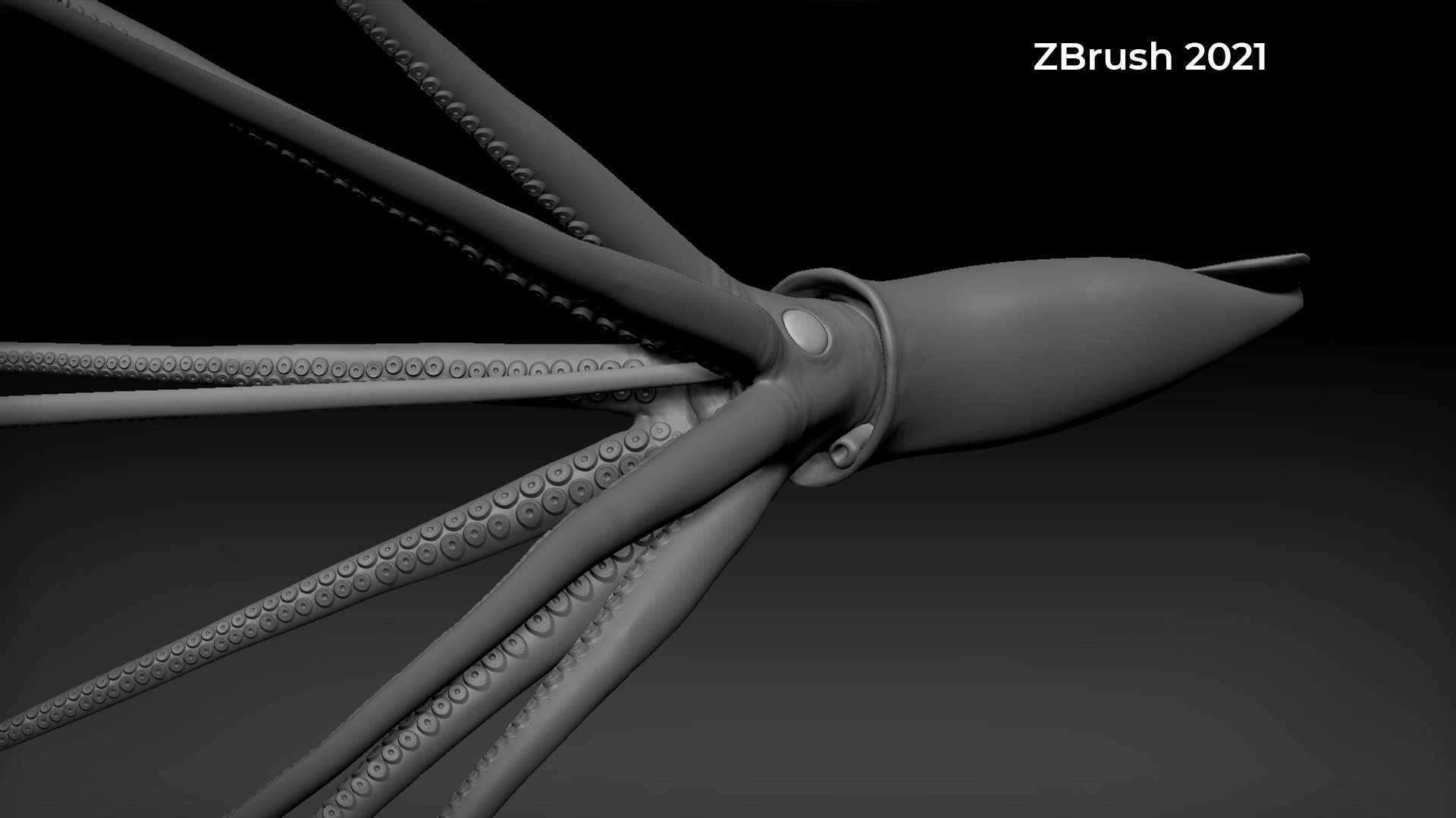 3D GiantSquidOBJ https://p.turbosquid.com/ts-thumb/Wo/5A62Fy/Xh/zbrush0/jpg/1633588257/1920x1080/fit_q87/b589f1a592f97bf92e085549506b6bbdd7cc840f/zbrush0.jpg