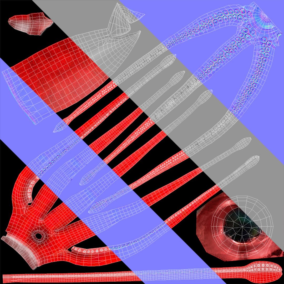 3D GiantSquidOBJ https://p.turbosquid.com/ts-thumb/Wo/5A62Fy/YG/uv/jpg/1633588181/1920x1080/fit_q87/b82598ce2e6bec3047bc7f9707a9c6ff0662ae08/uv.jpg