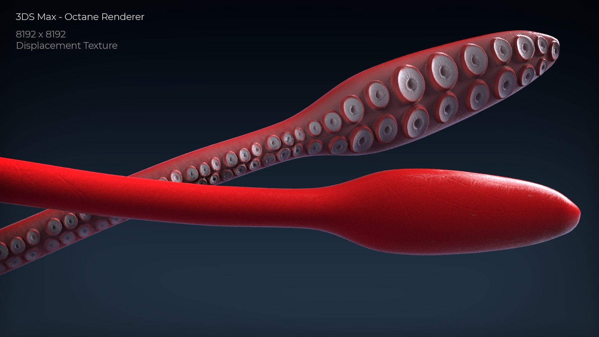 3D GiantSquidOBJ https://p.turbosquid.com/ts-thumb/Wo/5A62Fy/hg/2/jpg/1633588213/1920x1080/fit_q87/9f0639731f15ec676f9360667d71dff5cb980d71/2.jpg