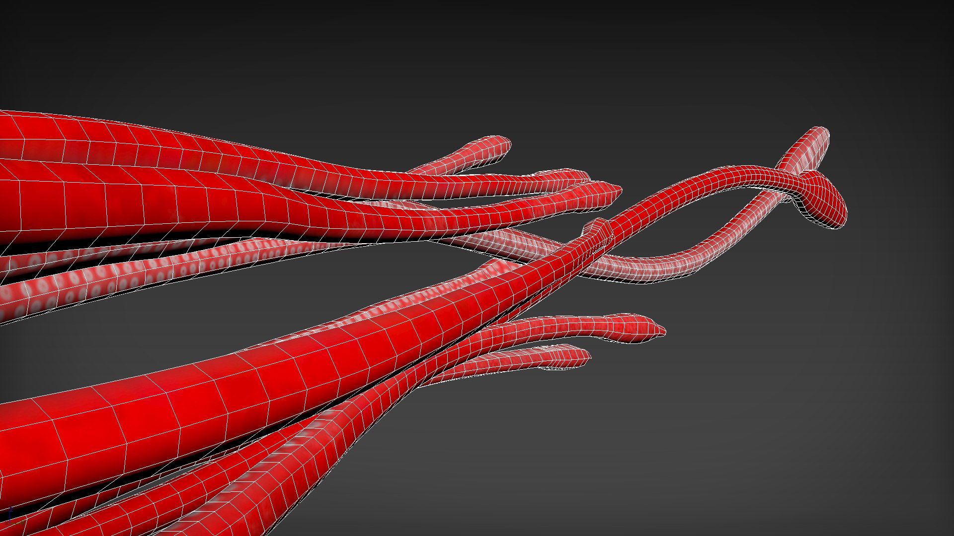 3D GiantSquidOBJ https://p.turbosquid.com/ts-thumb/Wo/5A62Fy/mF/wireframe5/jpg/1633588274/1920x1080/fit_q87/20c1454012833c8ac0aaacf9d41dbea4838a0097/wireframe5.jpg