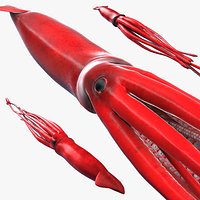 GiantSquid