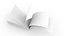 The universal model of the perfect bound book thread-bound books