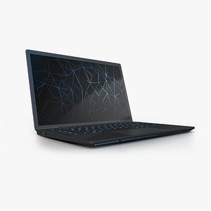 Generic Laptop