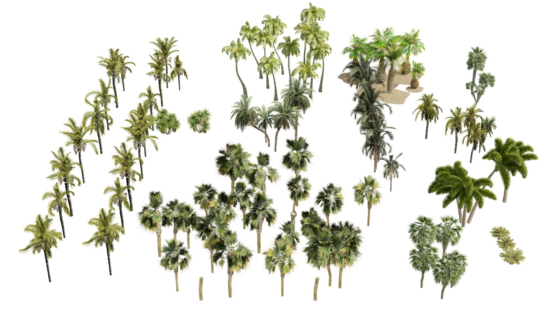 Outdoor Palms 3d Pack Collection model https://p.turbosquid.com/ts-thumb/Wo/R8Kh6i/7B/z06/jpg/1721829563/1920x1080/fit_q87/700d557042d730f3d7ec03efc4a810142eea171b/z06.jpg