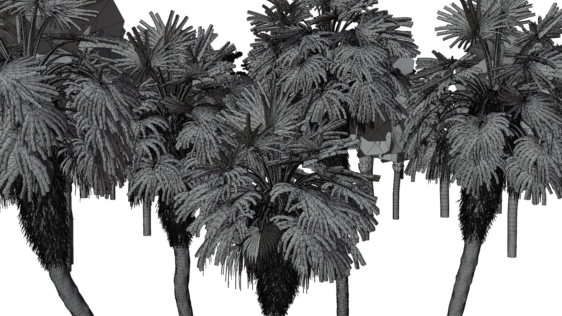 Outdoor Palms 3d Pack Collection model https://p.turbosquid.com/ts-thumb/Wo/R8Kh6i/AR/wire07/jpg/1721829572/1920x1080/fit_q87/59b060b4b888bffb8f4a6d525703ec86478f78dd/wire07.jpg