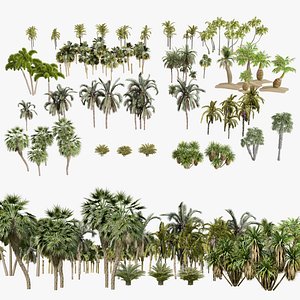 Outdoor Palms 3d Pack Collection model