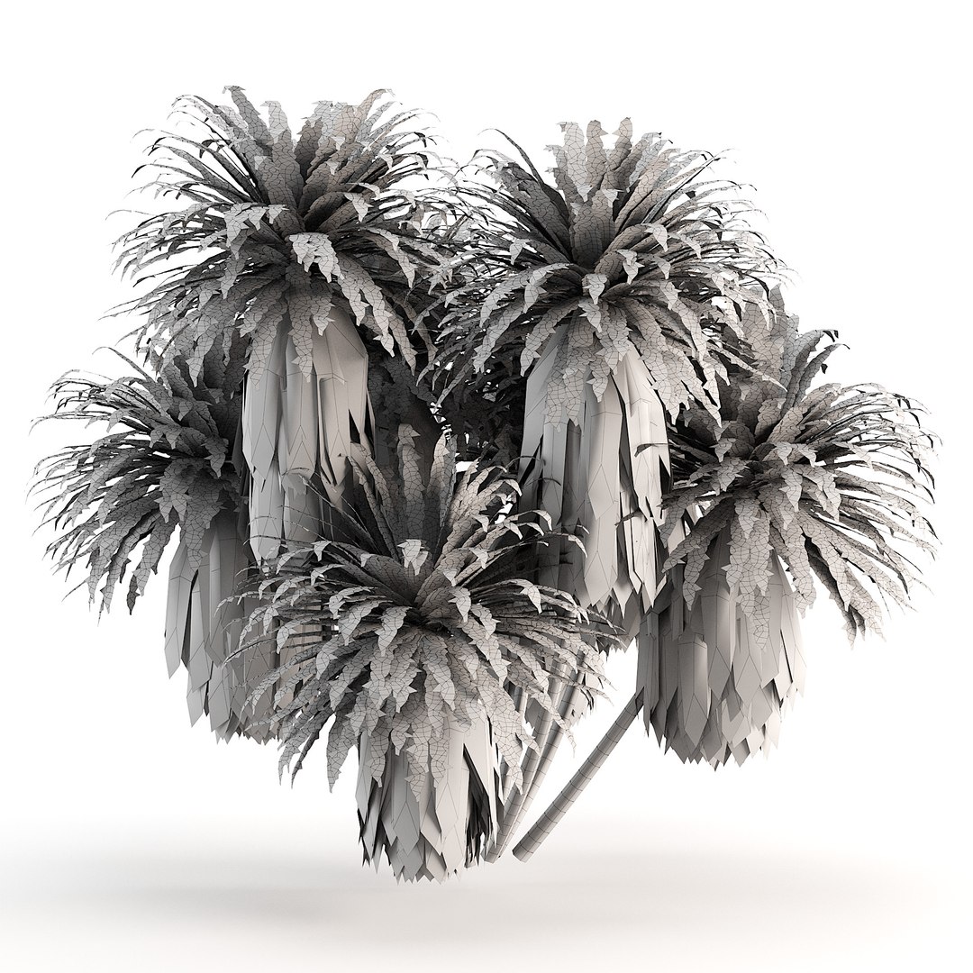 Outdoor Palms 3d Pack Collection model https://p.turbosquid.com/ts-thumb/Wo/R8Kh6i/GO/z053/jpg/1694473354/1920x1080/fit_q87/519e2dbfa2665b8530417e0b264a78fe43cbfc24/z053.jpg