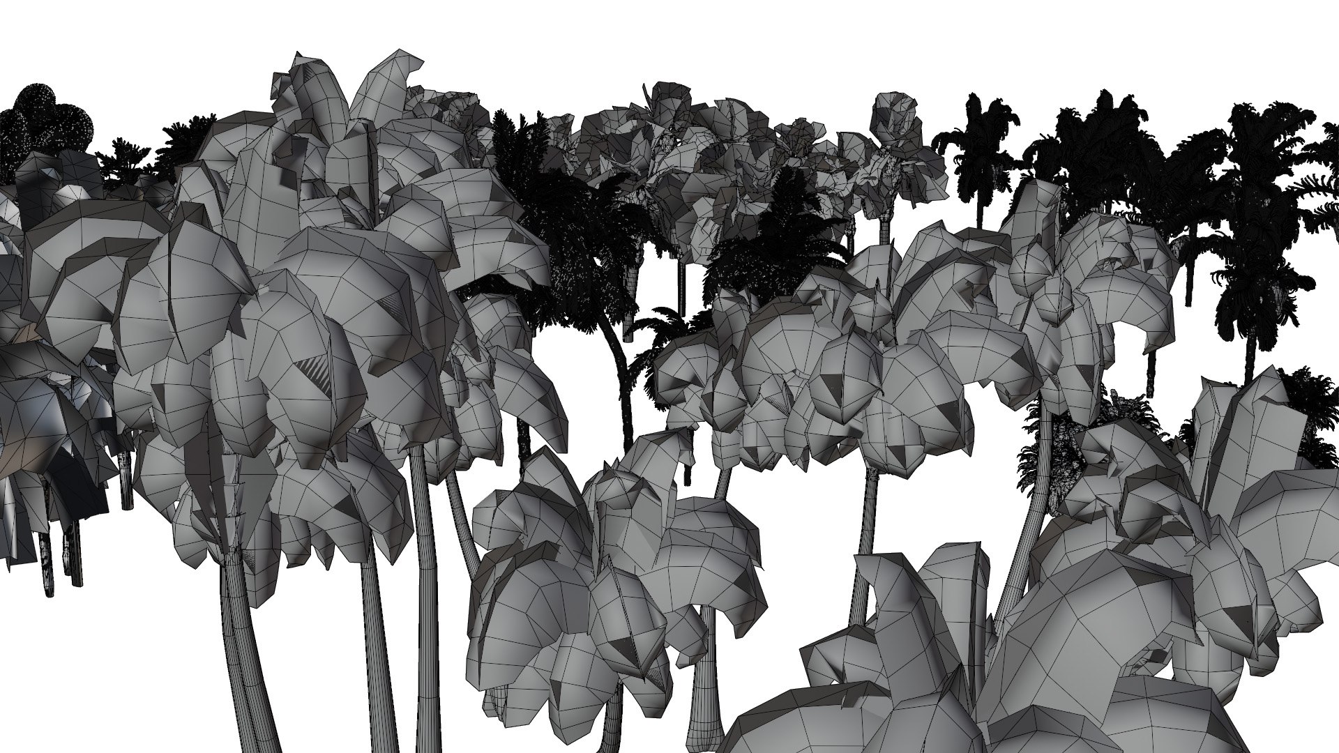 Outdoor Palms 3d Pack Collection model https://p.turbosquid.com/ts-thumb/Wo/R8Kh6i/HD/wire05/jpg/1721829568/1920x1080/fit_q87/fec0b5d93efc3b18099f82e402d0b45444b242b1/wire05.jpg