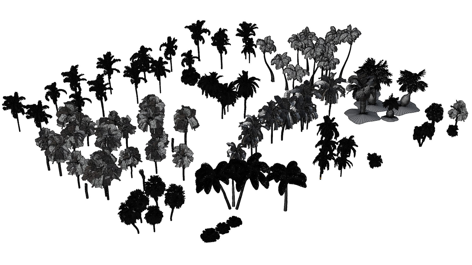 Outdoor Palms 3d Pack Collection model https://p.turbosquid.com/ts-thumb/Wo/R8Kh6i/Jw/wire04/jpg/1721829566/1920x1080/fit_q87/235016dd8e9f024bde54d678c928b55f8c584a06/wire04.jpg