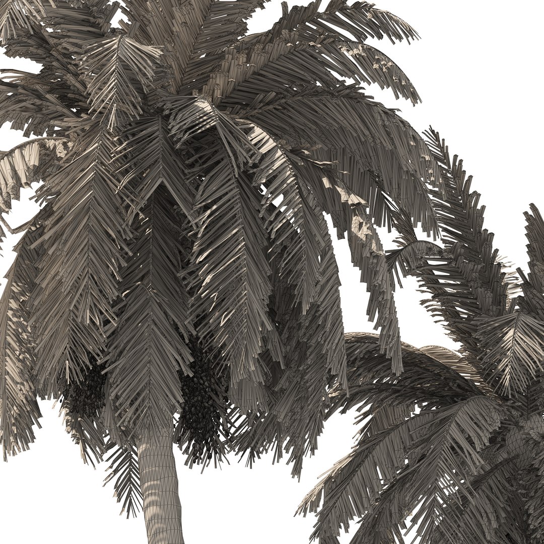 Outdoor Palms 3d Pack Collection model https://p.turbosquid.com/ts-thumb/Wo/R8Kh6i/Kp/wire02pp/jpg/1651695392/1920x1080/fit_q87/2b8c6e9bcb46117df985b219dbc452ae7587b15a/wire02pp.jpg