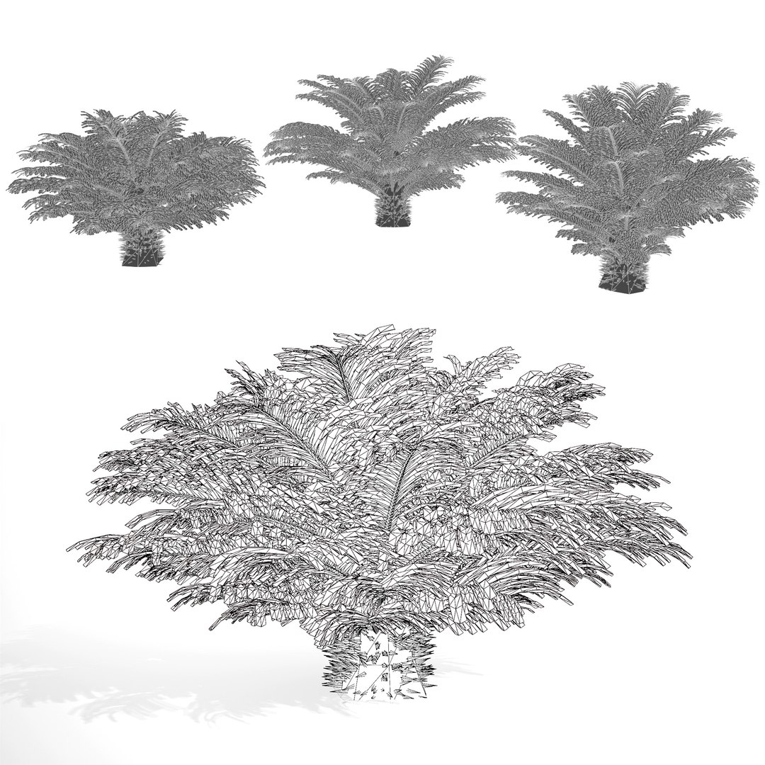 Outdoor Palms 3d Pack Collection model https://p.turbosquid.com/ts-thumb/Wo/R8Kh6i/UB/wire/jpg/1719569676/1920x1080/fit_q87/030785cde8463b2cbac9882b0add48de8ccfcc18/wire.jpg