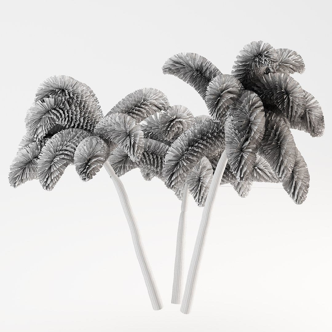 Outdoor Palms 3d Pack Collection model https://p.turbosquid.com/ts-thumb/Wo/R8Kh6i/e7/z052/jpg/1694912419/1920x1080/fit_q87/2fa9467ea223b6d5b06c5e7ee9f5ea17ab7e8798/z052.jpg