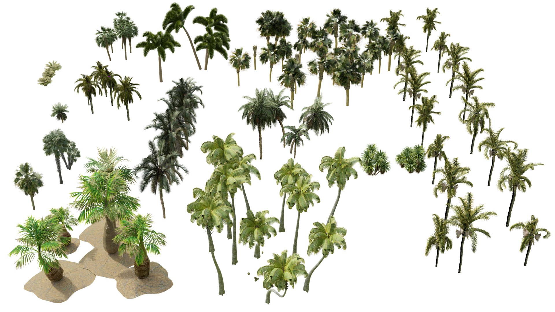 Outdoor Palms 3d Pack Collection model https://p.turbosquid.com/ts-thumb/Wo/R8Kh6i/eI/z05/jpg/1721829559/1920x1080/fit_q87/d5b28f81075a841ed73ab12fe59fe60c919e923a/z05.jpg