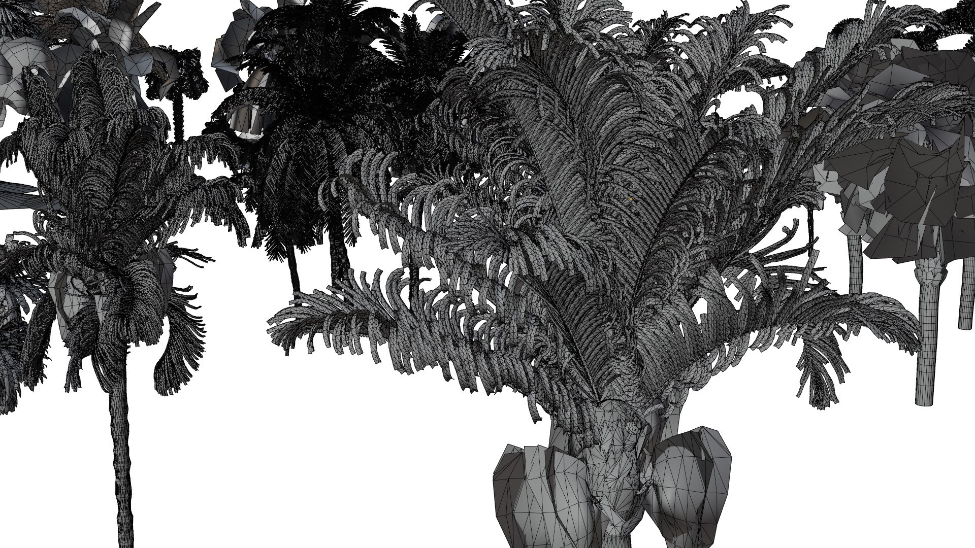 Outdoor Palms 3d Pack Collection model https://p.turbosquid.com/ts-thumb/Wo/R8Kh6i/kE/wire06/jpg/1721829570/1920x1080/fit_q87/3a76dbe4c6c59dc151177894f46b180bf7dc8932/wire06.jpg